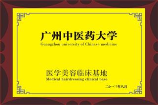 荣誉资质
